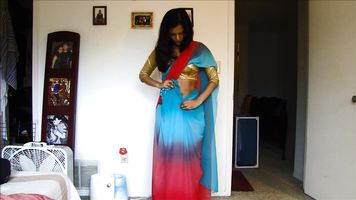 North Indian Bhabhi In Sari - Movies.