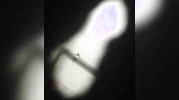 Aunty From Assam With Hubby Enjoying Sex Suddenly Kids Come Inside.