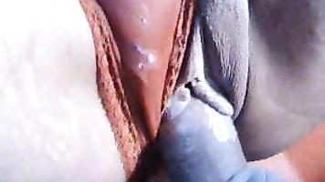 South Indian Wife Gets Fucked - Movies.