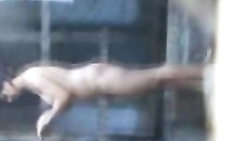 Bhabhi Ka Nanda Shower - Movies.