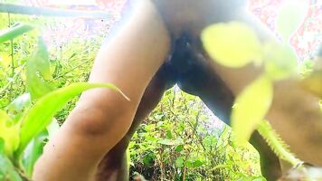 Jungle in a Mangal in my amateur