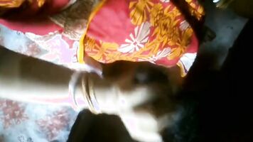 Indian mullu village aunty sex movie